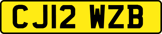 CJ12WZB
