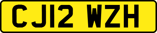 CJ12WZH