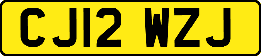 CJ12WZJ