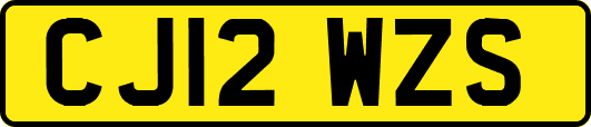 CJ12WZS