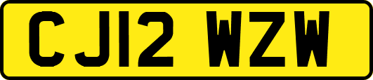 CJ12WZW