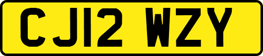 CJ12WZY