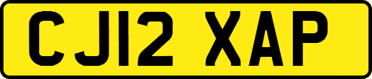 CJ12XAP