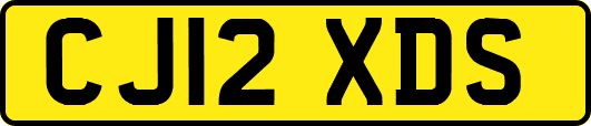 CJ12XDS