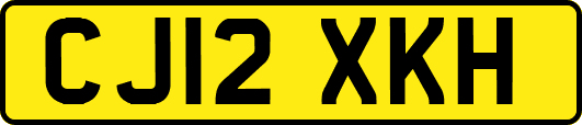 CJ12XKH