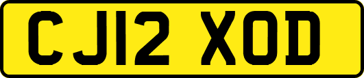 CJ12XOD