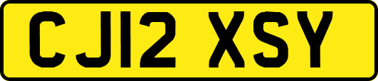 CJ12XSY