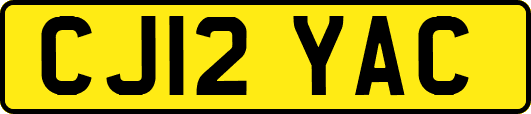 CJ12YAC
