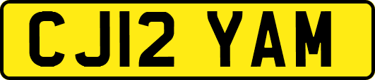 CJ12YAM
