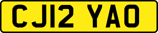 CJ12YAO