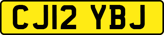 CJ12YBJ