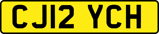 CJ12YCH
