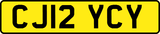 CJ12YCY