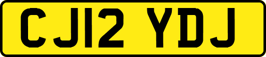 CJ12YDJ