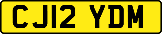 CJ12YDM