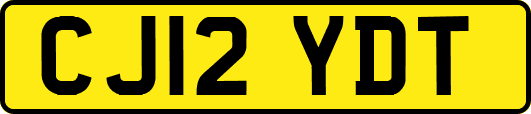 CJ12YDT