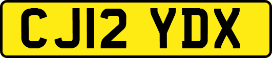 CJ12YDX