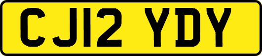 CJ12YDY