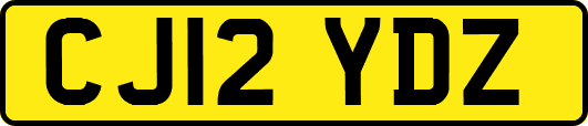 CJ12YDZ
