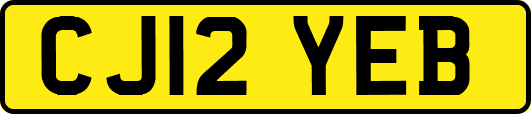 CJ12YEB