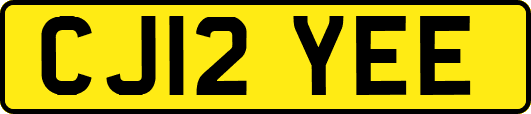 CJ12YEE