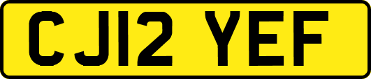 CJ12YEF