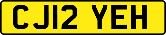 CJ12YEH