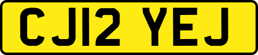 CJ12YEJ