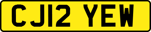CJ12YEW