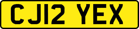 CJ12YEX