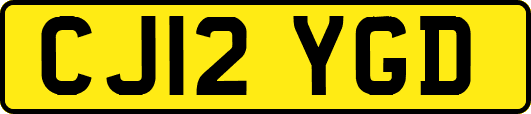 CJ12YGD
