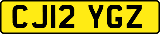 CJ12YGZ