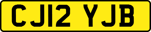 CJ12YJB