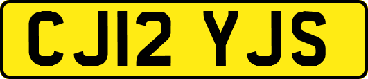 CJ12YJS