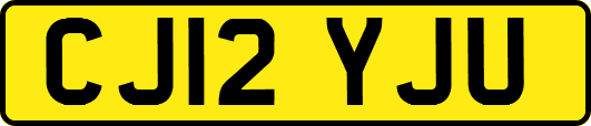 CJ12YJU