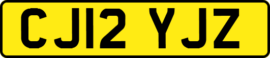 CJ12YJZ