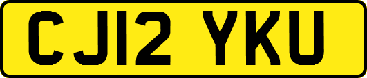 CJ12YKU