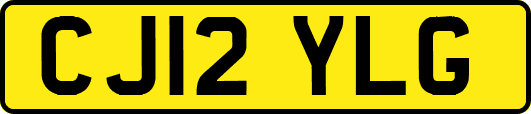 CJ12YLG