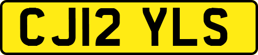 CJ12YLS