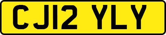 CJ12YLY