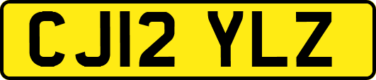 CJ12YLZ