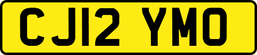 CJ12YMO