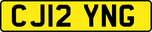 CJ12YNG