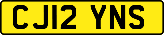 CJ12YNS