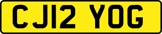 CJ12YOG