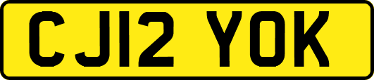 CJ12YOK