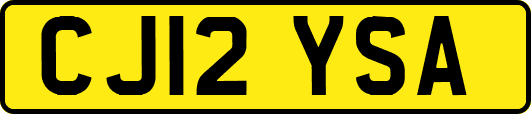 CJ12YSA