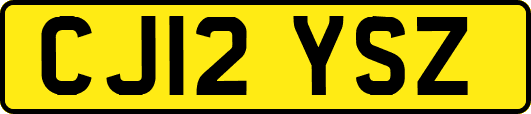 CJ12YSZ