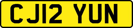 CJ12YUN