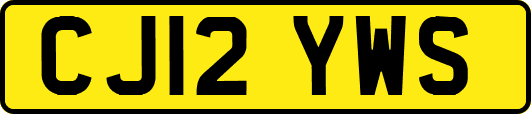 CJ12YWS
